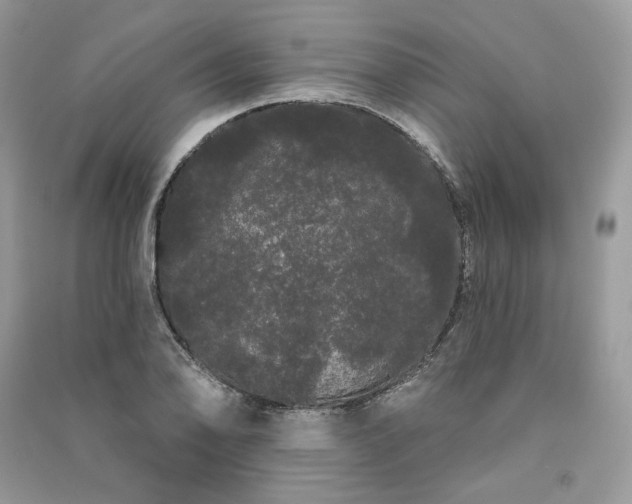 X0000091091078200708131314
