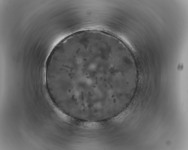 X0000091091079200708131314