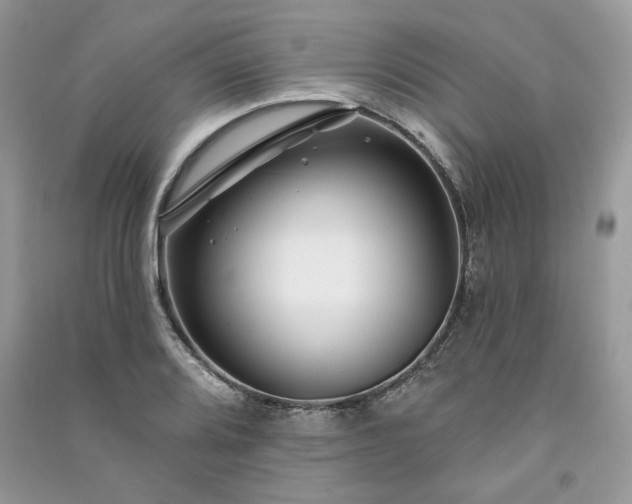 X0000091091080200708131314