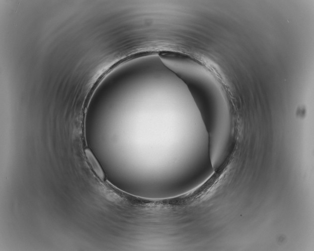 X0000091091081200708131314