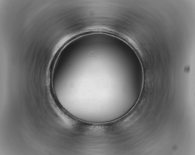 X0000091091082200708131314