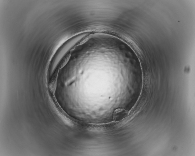 X0000091091083200708131314