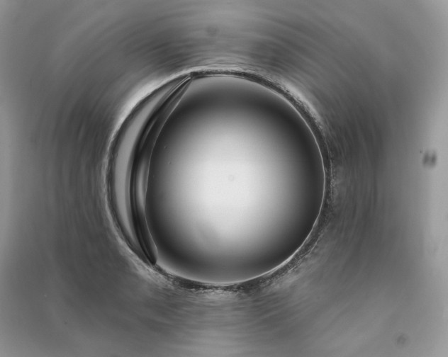 X0000091091085200708131314