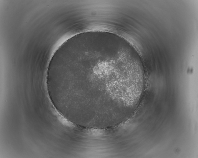 X0000091091086200708131314