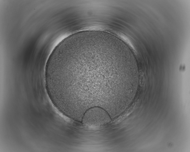 X0000091091087200708131314