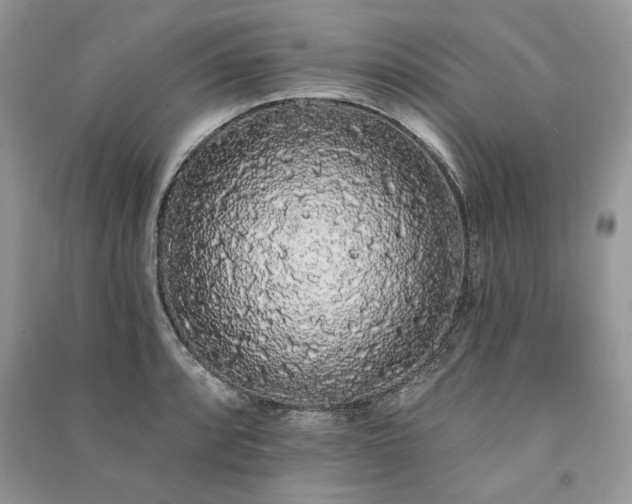 X0000091091088200708131314