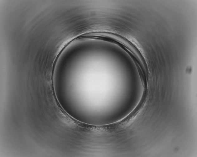 X0000091091089200708131314