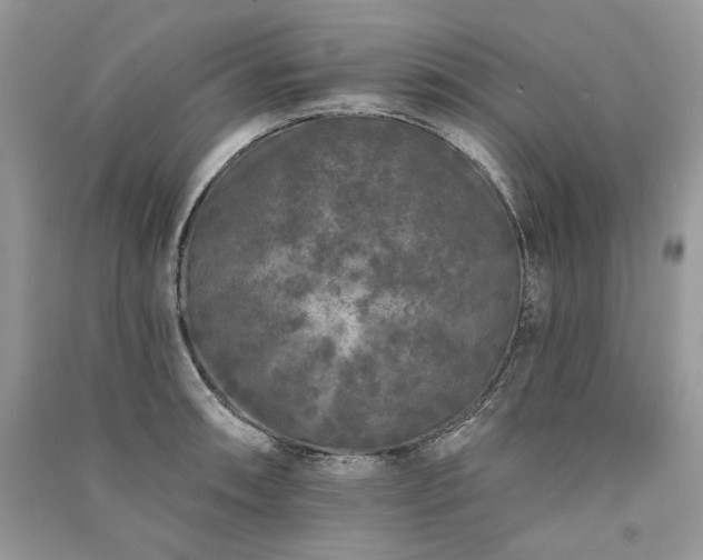 X0000091091090200708131314