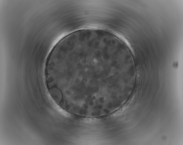X0000091091091200708131314