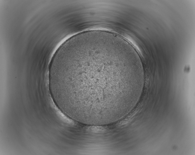 X0000091091092200708131314