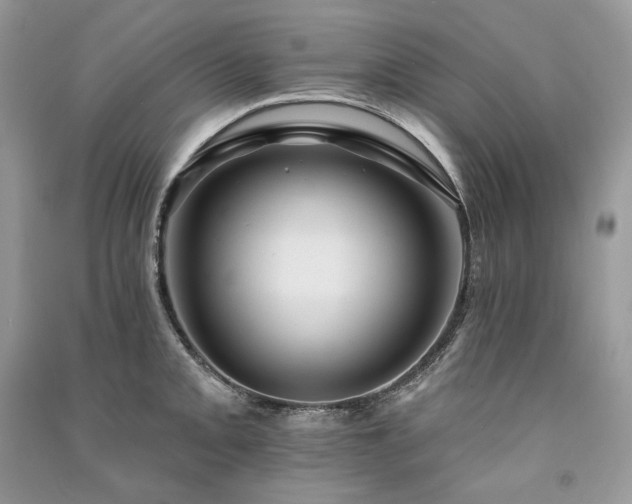 X0000091091093200708131314