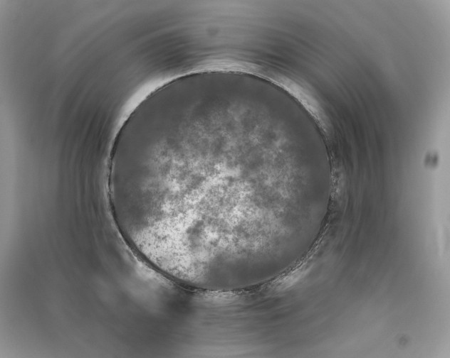 X0000091091094200708131314