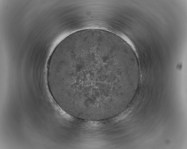 X0000091091096200708131314