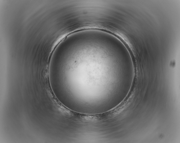 X0000091091097200708131314