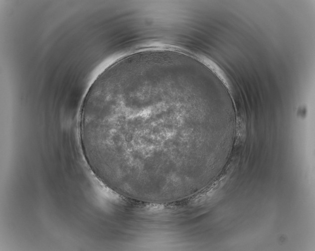 X0000091091098200708131314