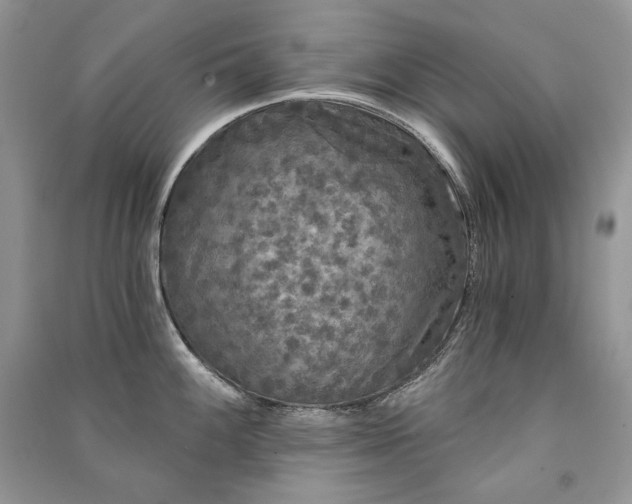 X0000091091100200708131314