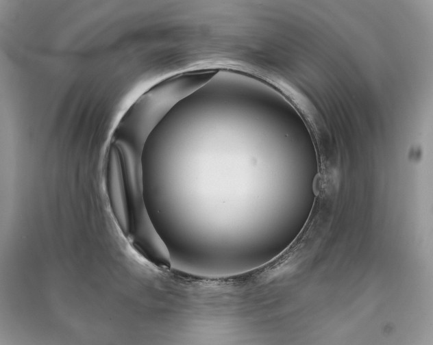 X0000091091102200708131314