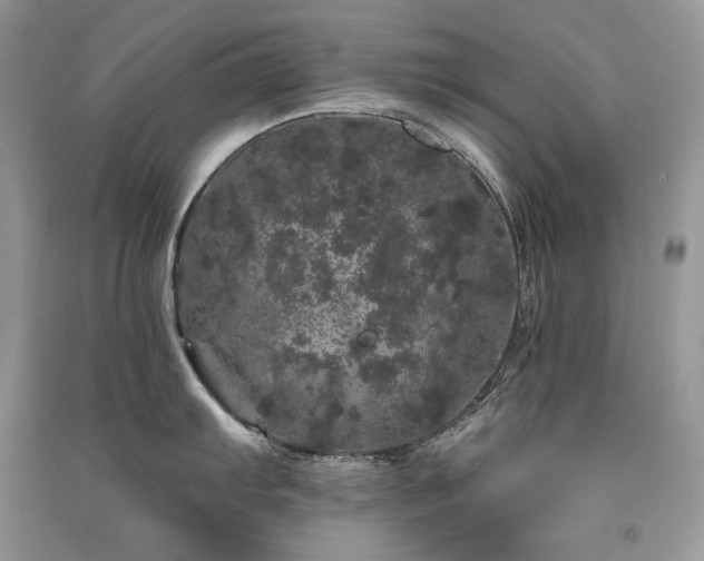 X0000091091103200708131314