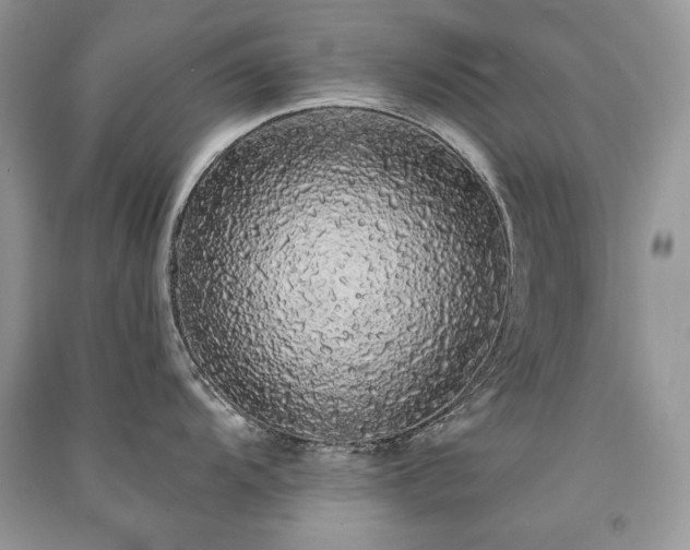 X0000091091104200708131314
