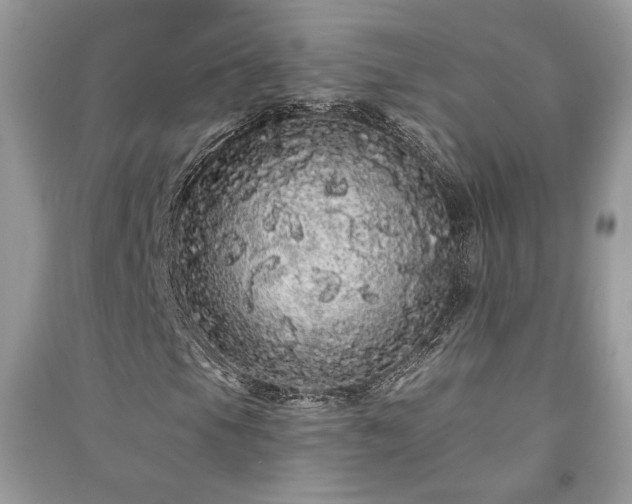X0000091091105200708131313