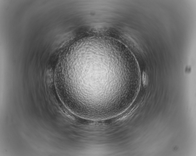 X0000091091107200708131313
