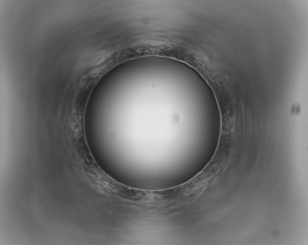 X0000091091109200708131313