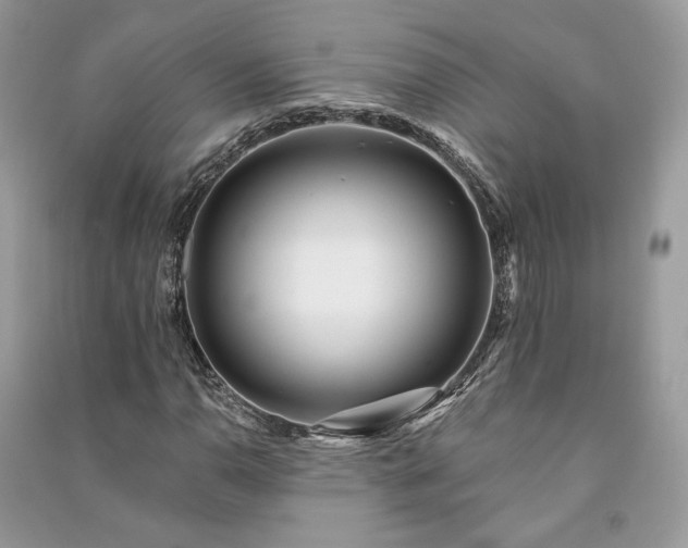 X0000091091110200708131313