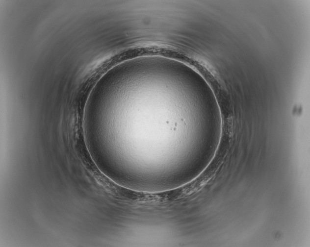 X0000091091111200708131313
