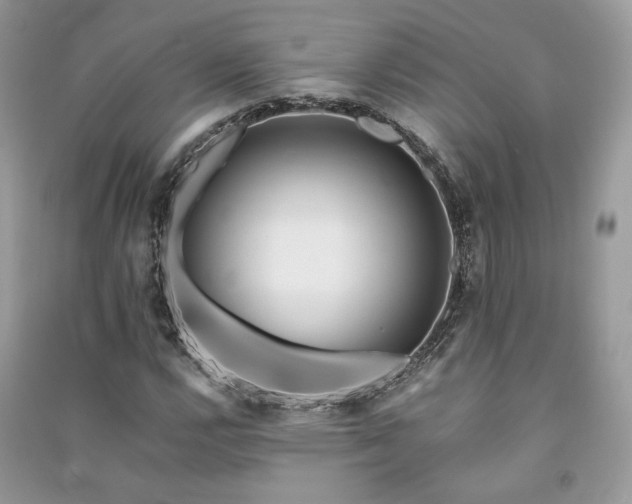 X0000091091112200708131313