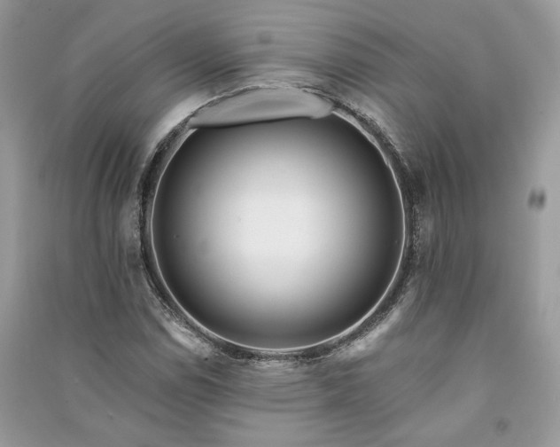 X0000091091114200708131313