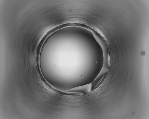 X0000091091116200708131313