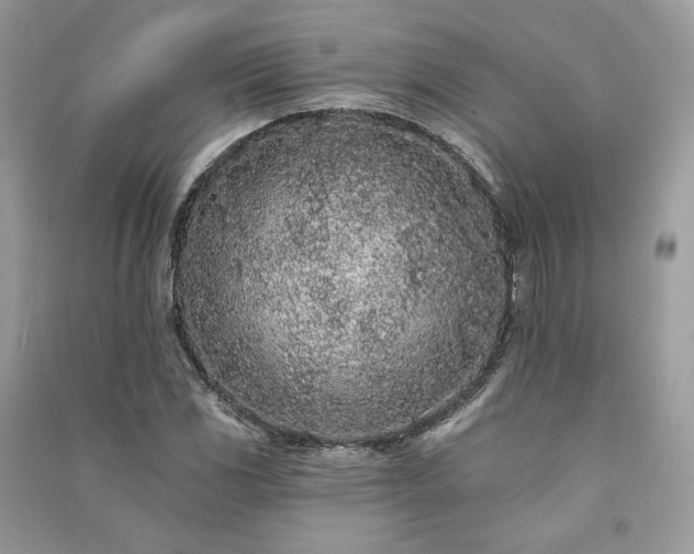 X0000091091117200708131313