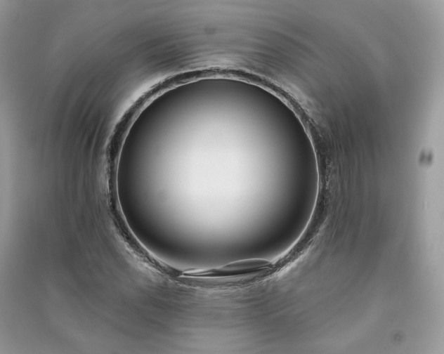 X0000091091118200708131313