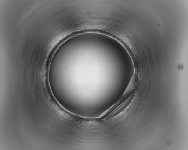 X0000091091119200708131313