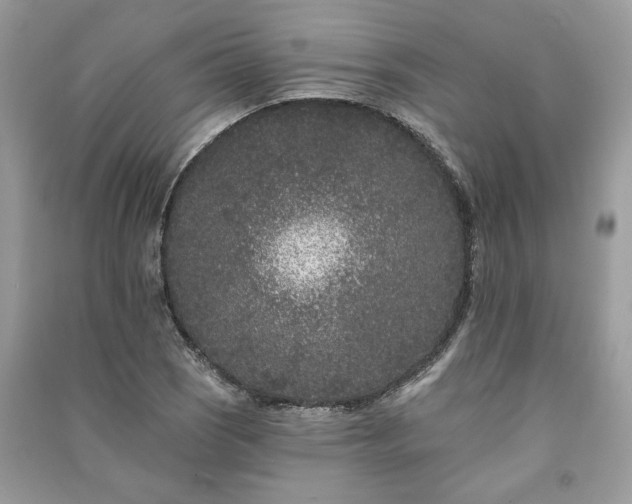 X0000091091121200708131313