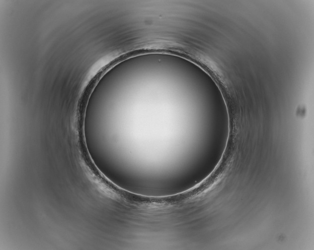 X0000091091122200708131313