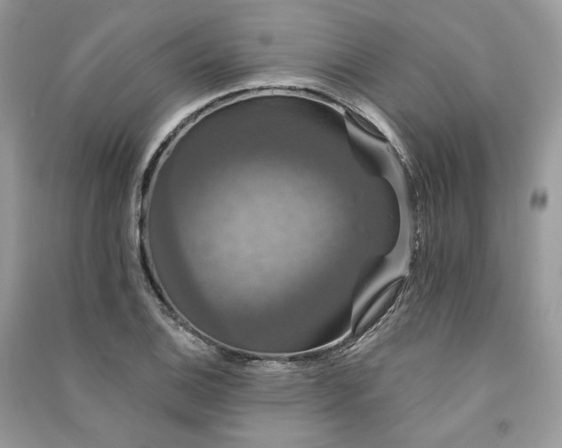 X0000091091124200708131313