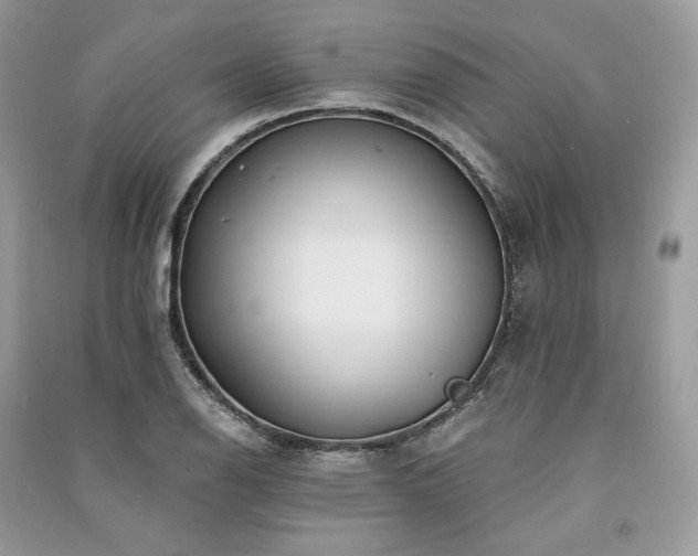 X0000091091126200708131313