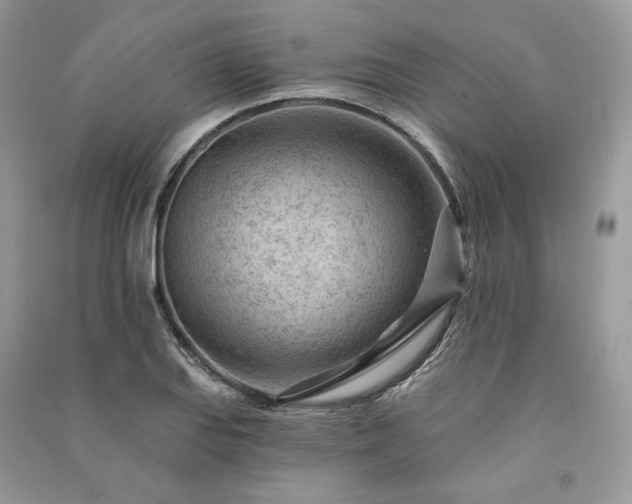 X0000091091127200708131313