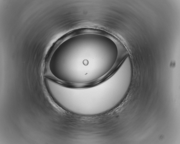 X0000091091128200708131313