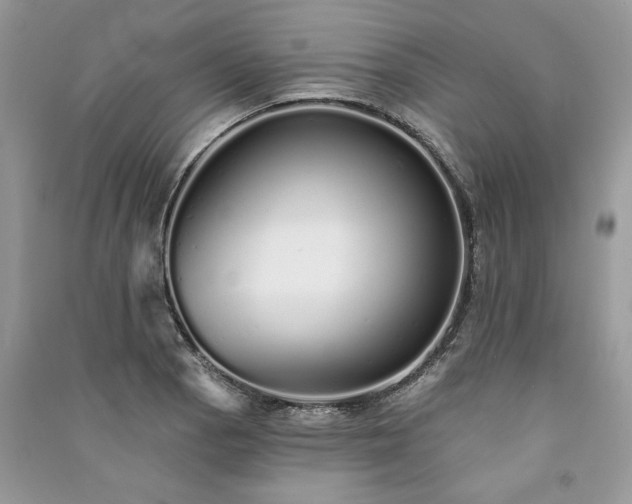 X0000091091129200708131313