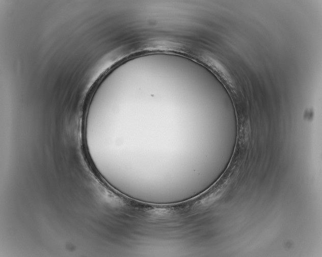 X0000091091130200708131313