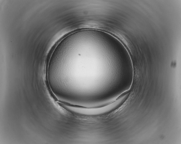 X0000091091131200708131314