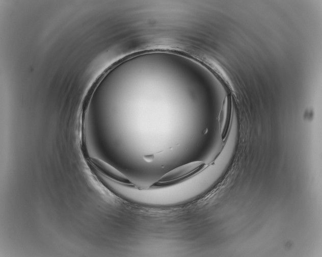X0000091091132200708131314