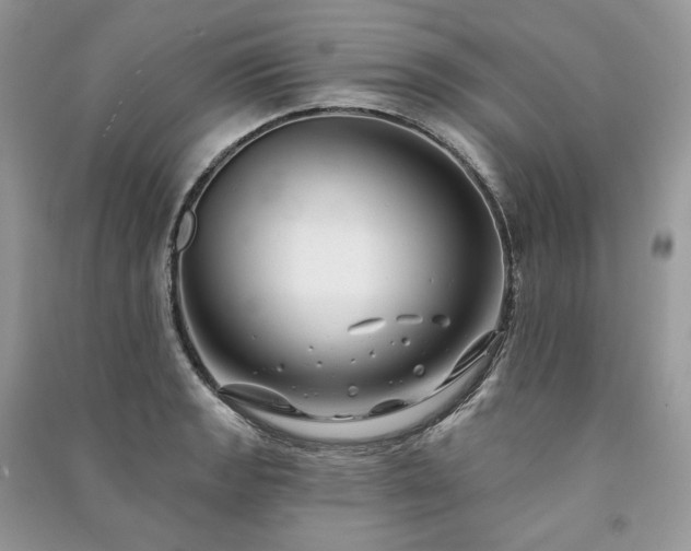 X0000091091133200708131314