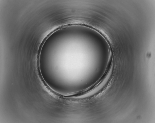 X0000091091134200708131314