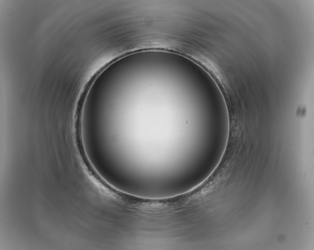 X0000091091135200708131314