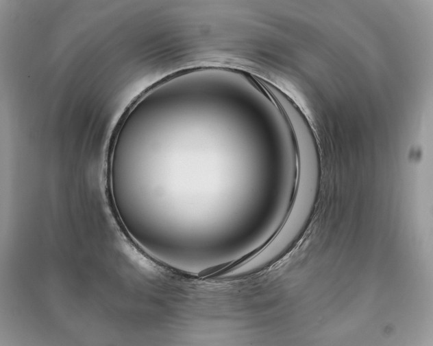 X0000091091136200708131314