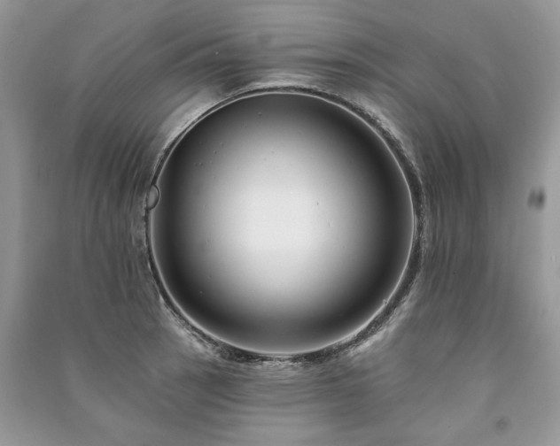 X0000091091137200708131314