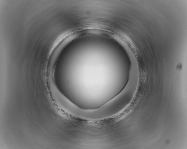 X0000091091138200708131314